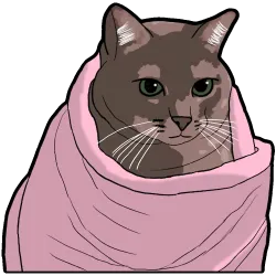 Team Cozy Fortress 2