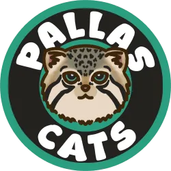 pallas cats