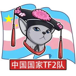 China National TF2 Team