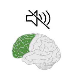 All Quiet on the Frontal Lobe