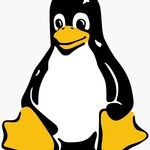 waddle warriors