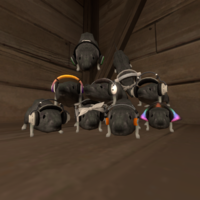 rat gaming