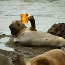 Seal Team 2