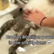 really high power level you gotta believe me