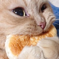 *eating sounds*