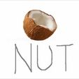 the coconut nut