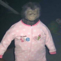 monke juice