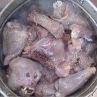 monkeysoup