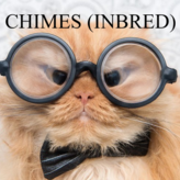 racist cats