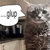 .......glup