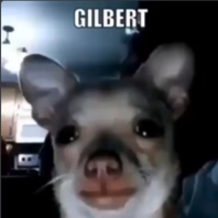 gilbert