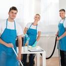 Cleanup Crew