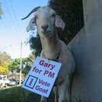 Vote Goat