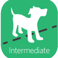 intermediate