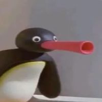 noot nooted