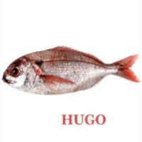 Hugo
